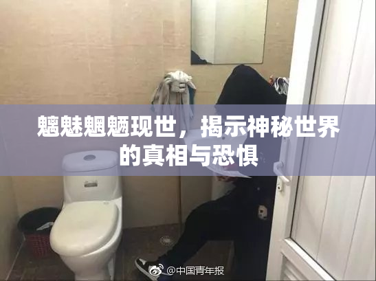 魑魅魍魉现世，揭示神秘世界的真相与恐惧