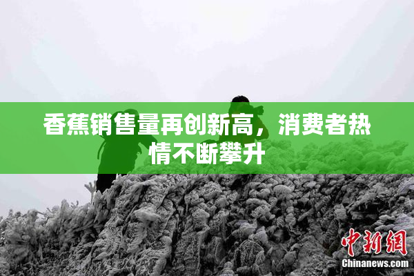 香蕉销售量再创新高，消费者热情不断攀升
