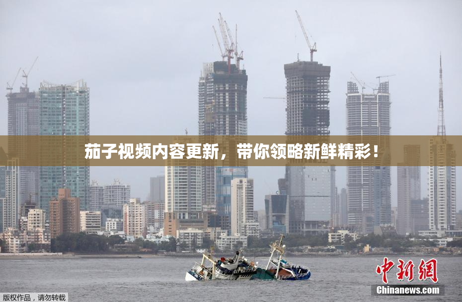 茄子视频内容更新，带你领略新鲜精彩！