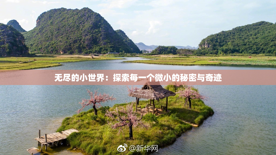 无尽的小世界：探索每一个微小的秘密与奇迹