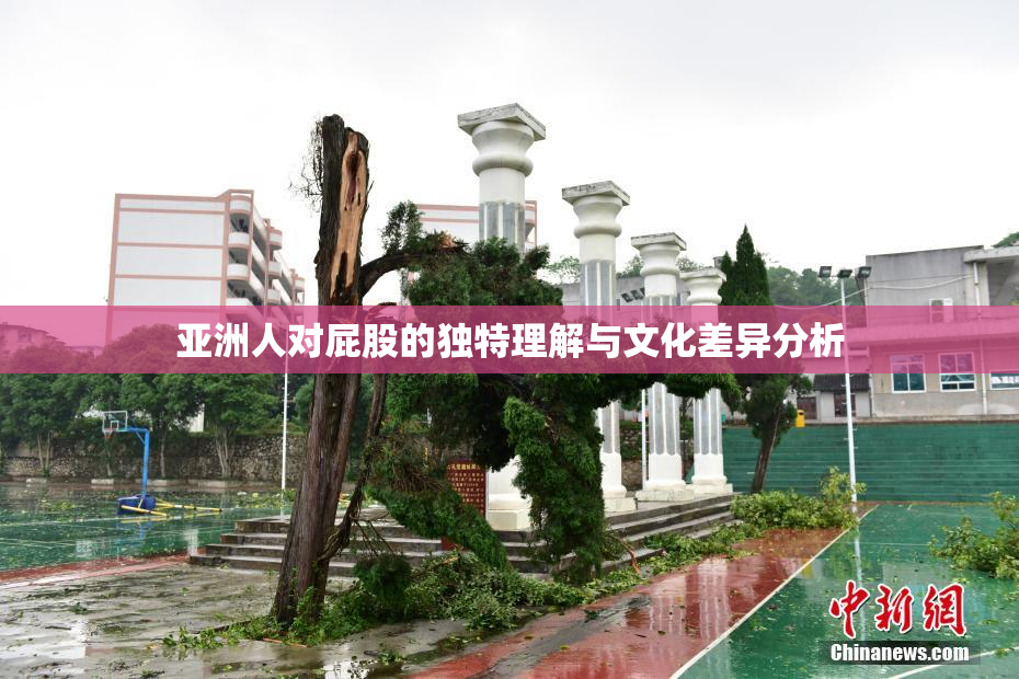 亚洲人对屁股的独特理解与文化差异分析