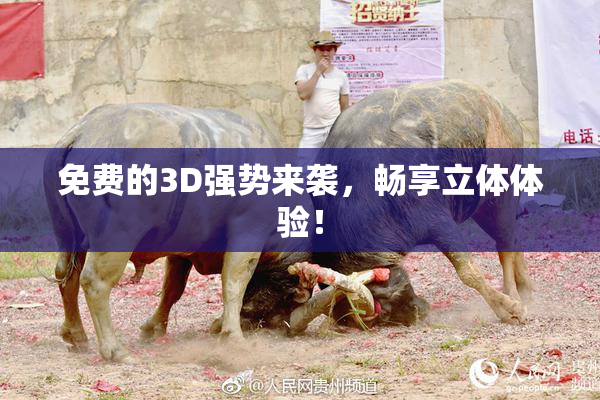 免费的3D强势来袭，畅享立体体验！