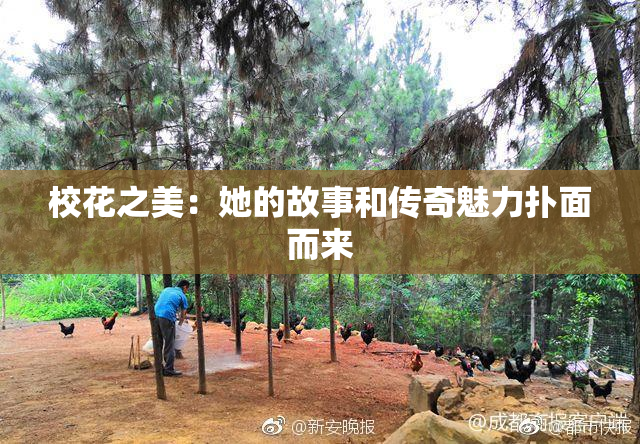 校花之美：她的故事和传奇魅力扑面而来