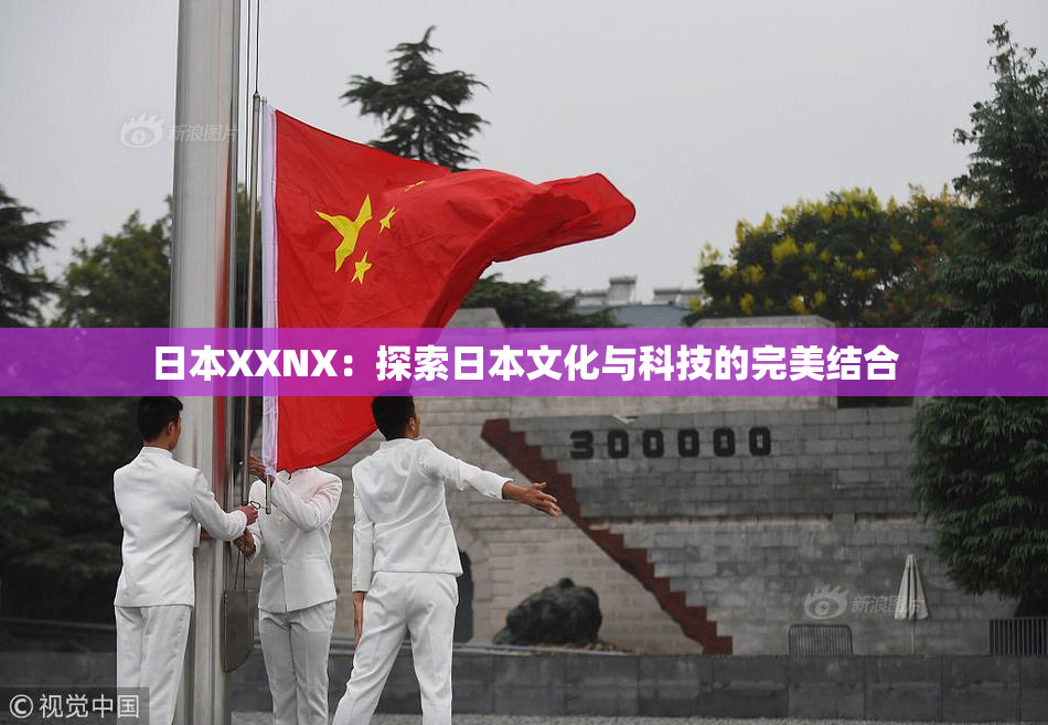 日本XXNX：探索日本文化与科技的完美结合