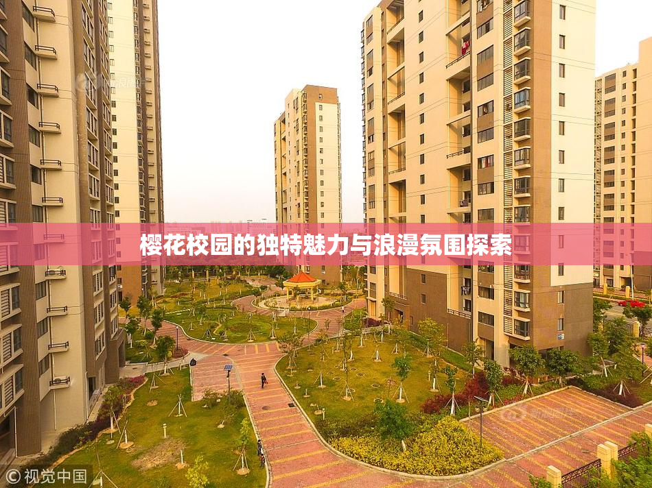 樱花校园的独特魅力与浪漫氛围探索