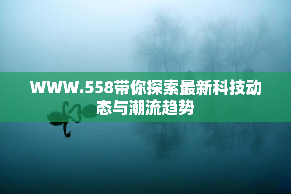 WWW.558带你探索最新科技动态与潮流趋势