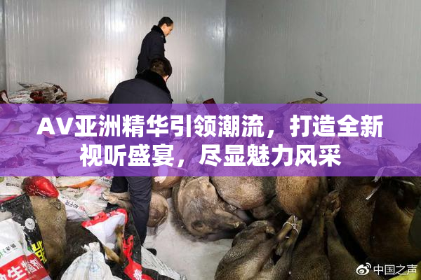 AV亚洲精华引领潮流，打造全新视听盛宴，尽显魅力风采