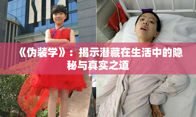 《伪装学》：揭示潜藏在生活中的隐秘与真实之道