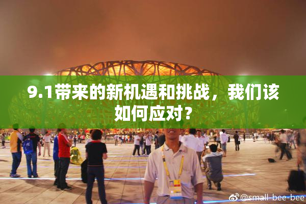 9.1带来的新机遇和挑战，我们该如何应对？