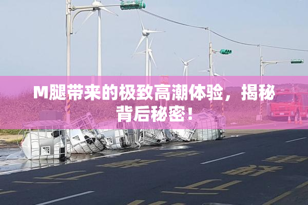 M腿带来的极致高潮体验，揭秘背后秘密！