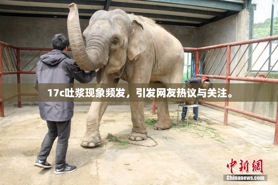 17c吐浆现象频发，引发网友热议与关注。