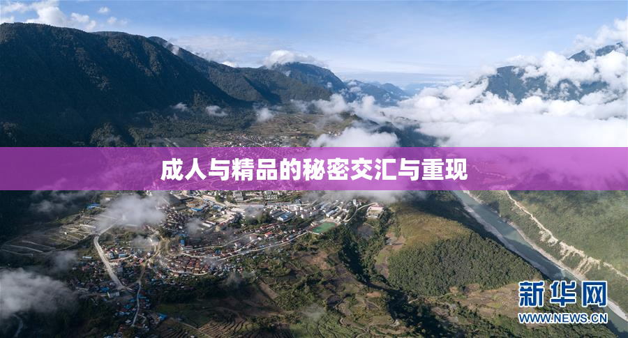 成人与精品的秘密交汇与重现