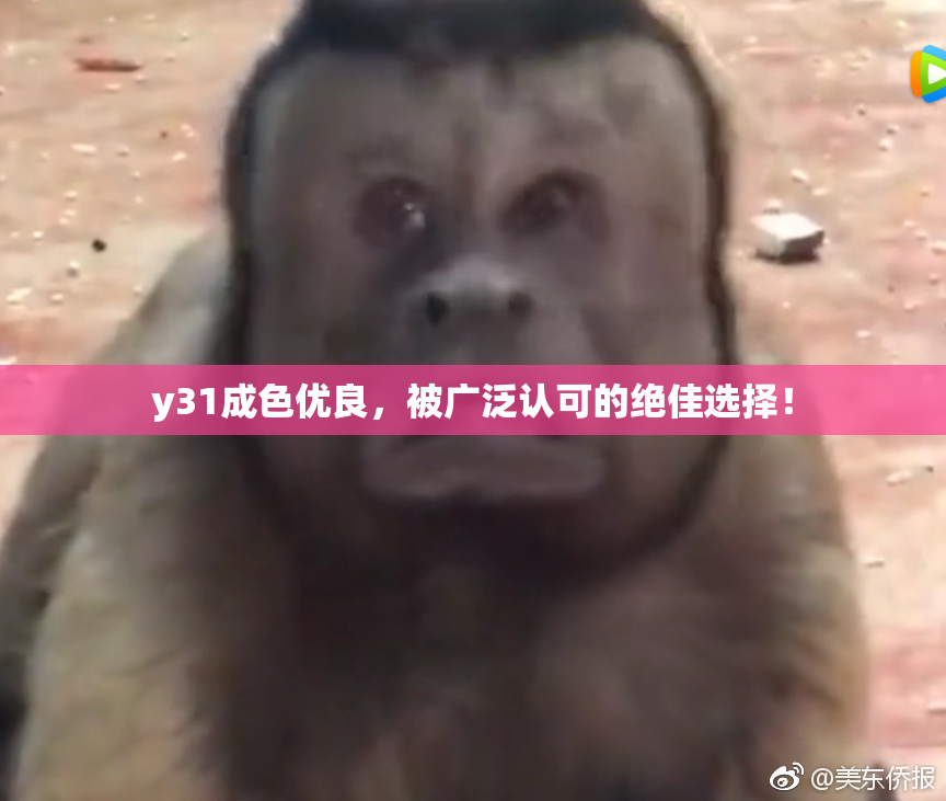 y31成色优良，被广泛认可的绝佳选择！