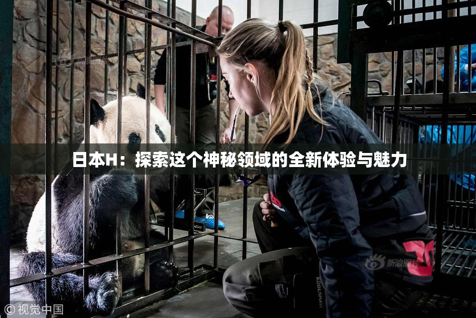 日本H：探索这个神秘领域的全新体验与魅力