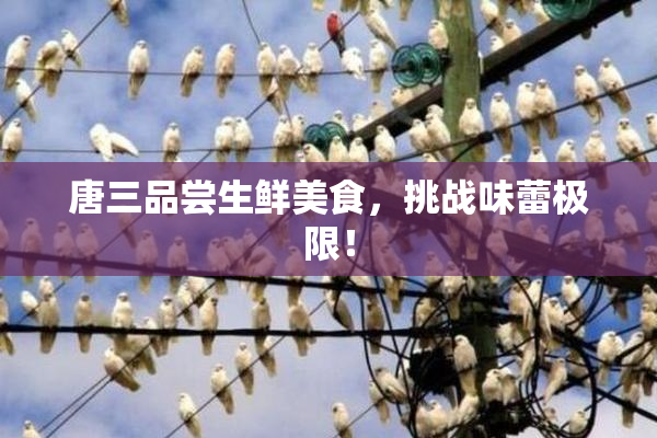 唐三品尝生鲜美食，挑战味蕾极限！