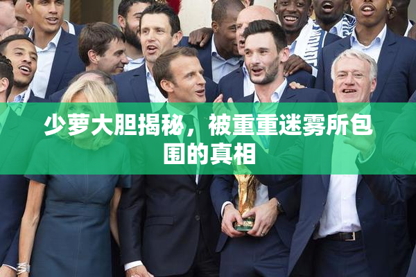 少萝大胆揭秘，被重重迷雾所包围的真相