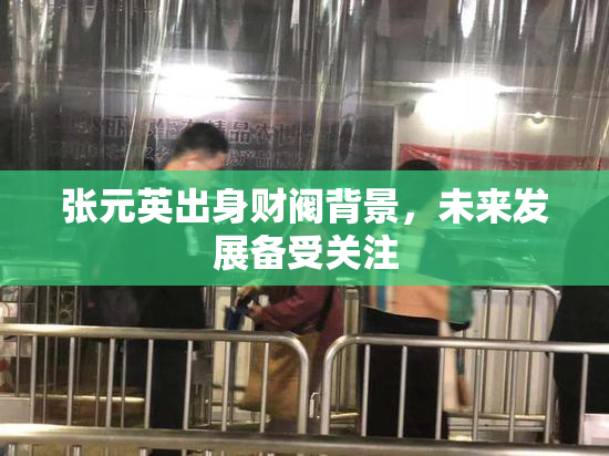 张元英出身财阀背景，未来发展备受关注
