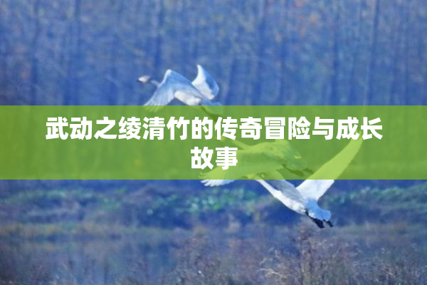 武动之绫清竹的传奇冒险与成长故事