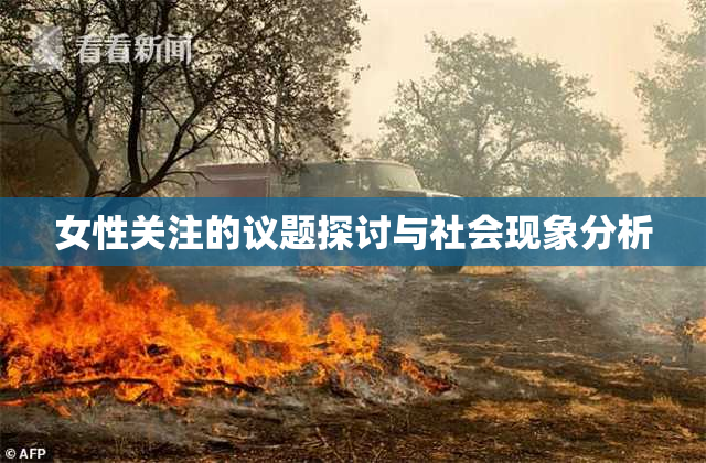 女性关注的议题探讨与社会现象分析