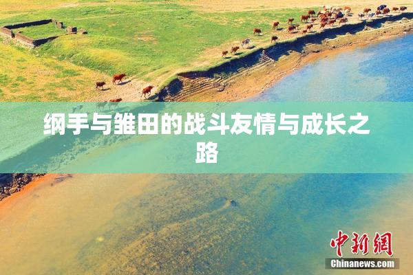 纲手与雏田的战斗友情与成长之路