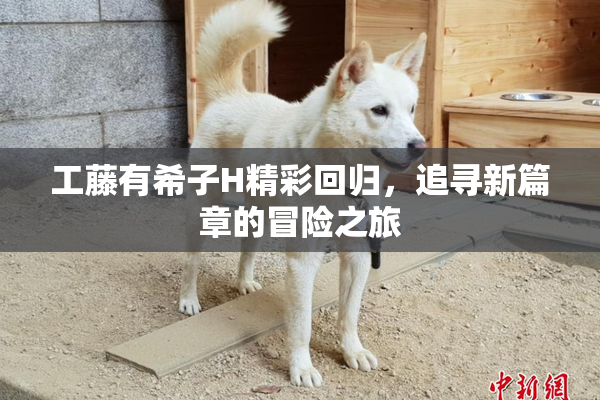 工藤有希子H精彩回归，追寻新篇章的冒险之旅