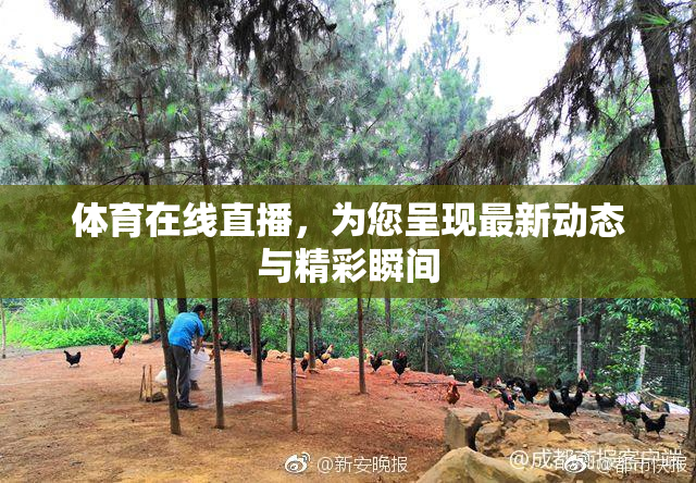 体育在线直播，为您呈现最新动态与精彩瞬间