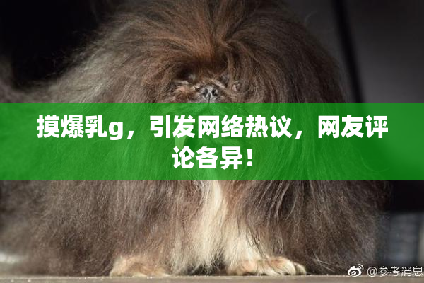 摸爆乳g，引发网络热议，网友评论各异！