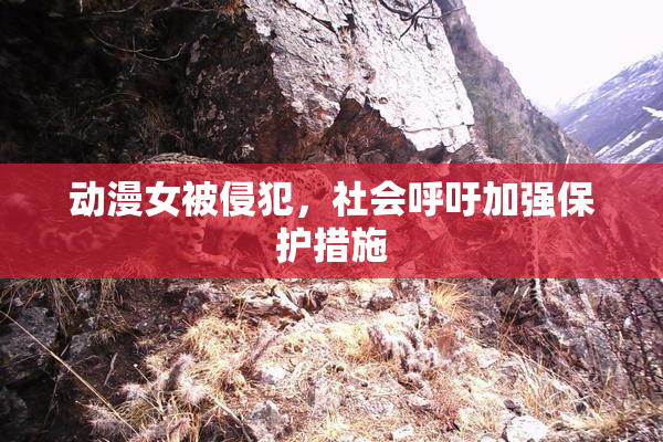 动漫女被侵犯，社会呼吁加强保护措施