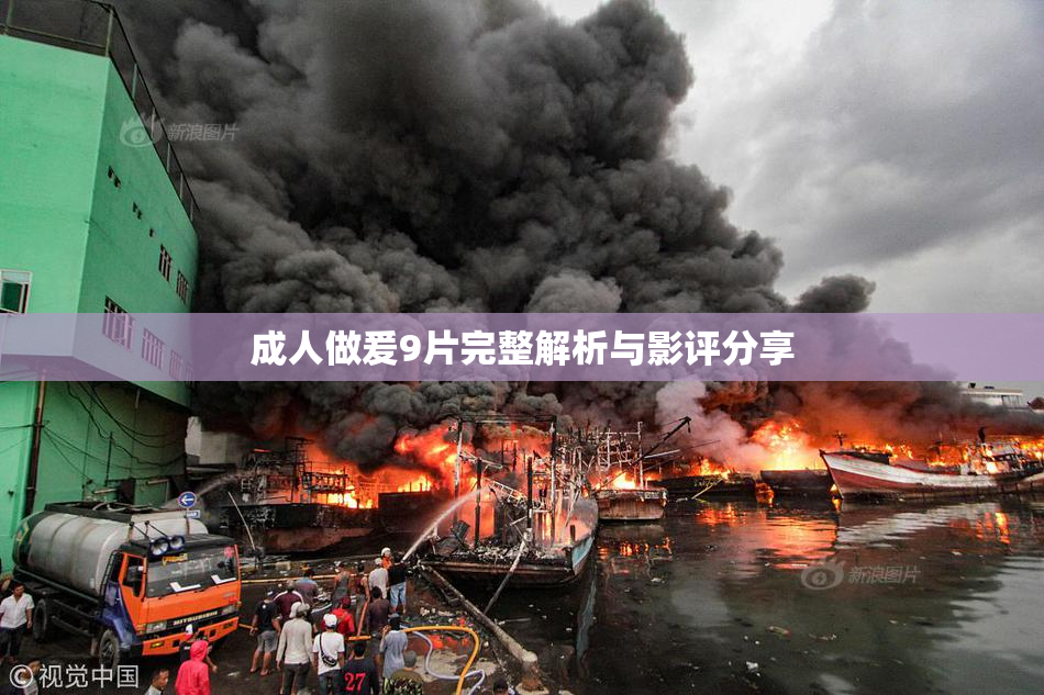 成人做爰9片完整解析与影评分享
