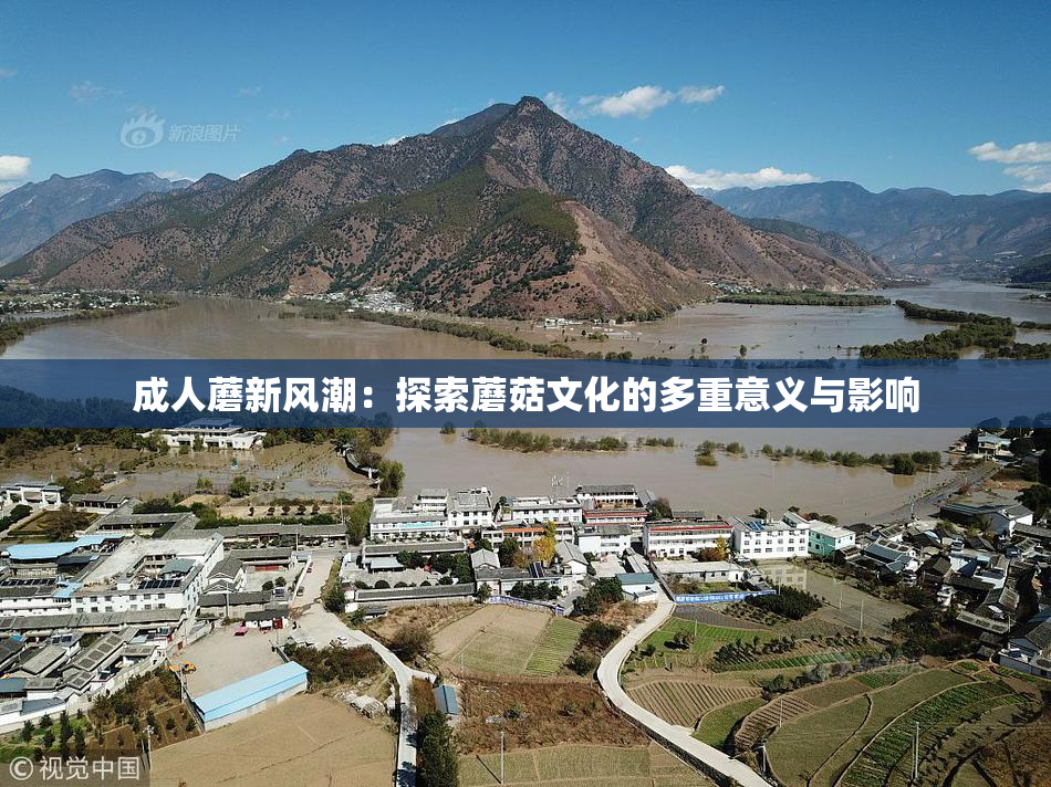 成人蘑新风潮：探索蘑菇文化的多重意义与影响