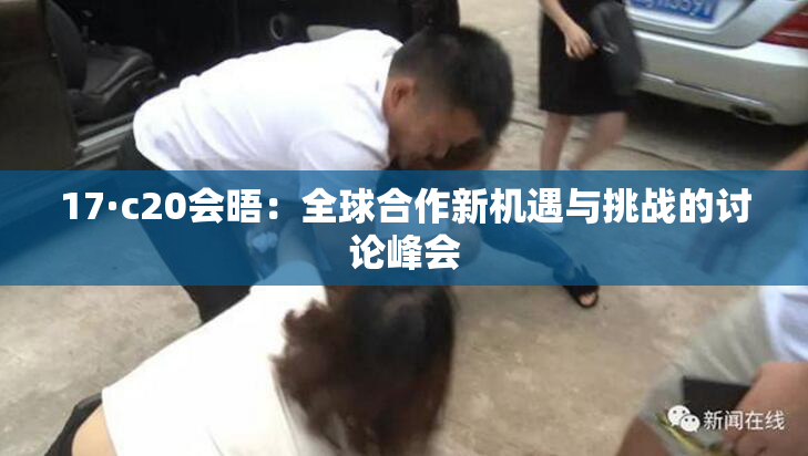 17·c20会晤：全球合作新机遇与挑战的讨论峰会