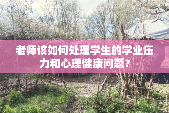 老师该如何处理学生的学业压力和心理健康问题？