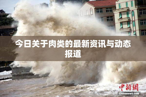 今日关于肉类的最新资讯与动态报道