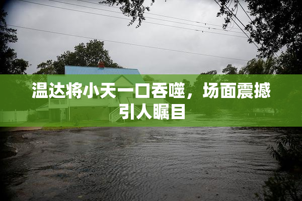 温达将小天一口吞噬，场面震撼引人瞩目
