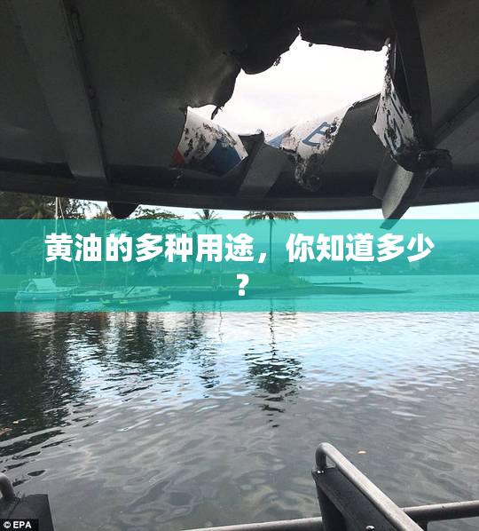 黄油的多种用途，你知道多少？
