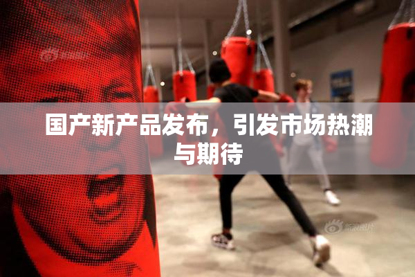 国产新产品发布，引发市场热潮与期待