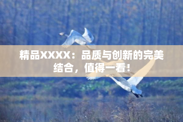 精品XXXX：品质与创新的完美结合，值得一看！