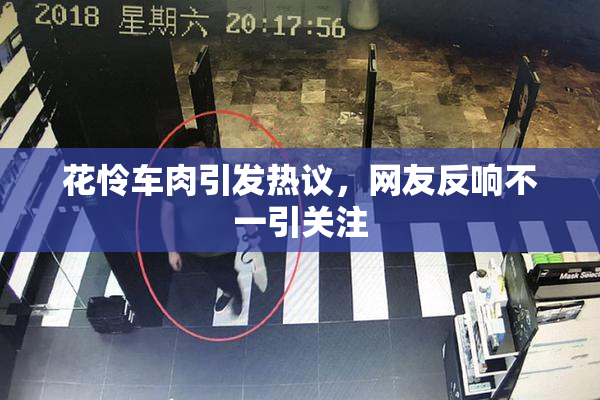 花怜车肉引发热议，网友反响不一引关注