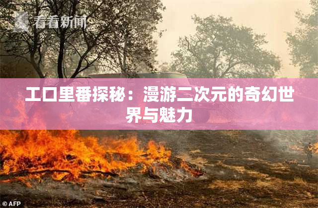 工口里番探秘：漫游二次元的奇幻世界与魅力