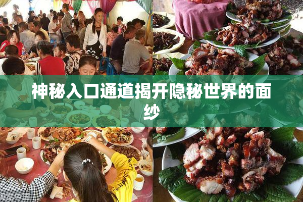神秘入口通道揭开隐秘世界的面纱