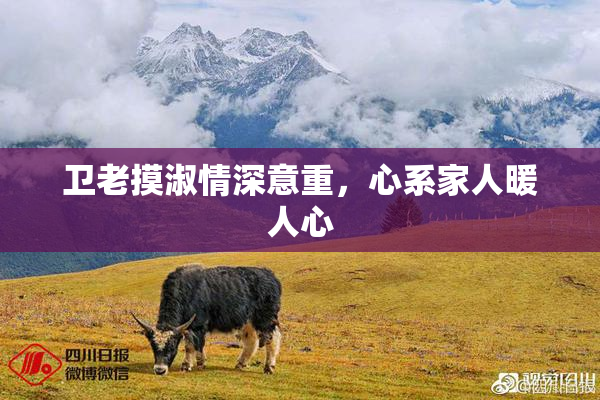 卫老摸淑情深意重，心系家人暖人心