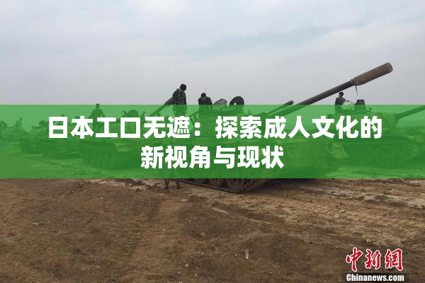 日本工口无遮：探索成人文化的新视角与现状