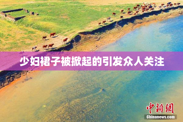 少妇裙子被掀起的引发众人关注