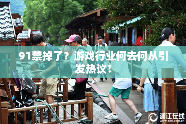 91禁掉了？游戏行业何去何从引发热议！