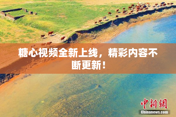 糖心视频全新上线，精彩内容不断更新！