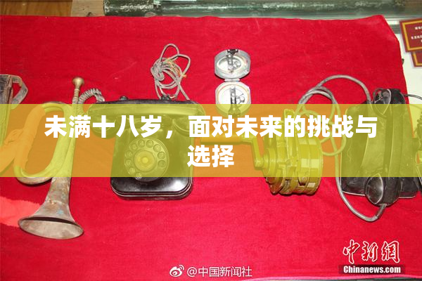 未满十八岁，面对未来的挑战与选择