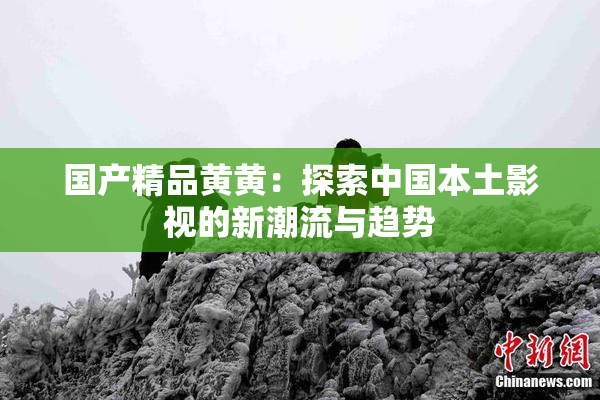 国产精品黄黄：探索中国本土影视的新潮流与趋势