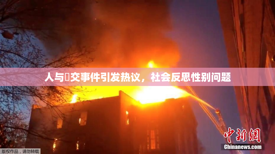 人与嘼交事件引发热议，社会反思性别问题