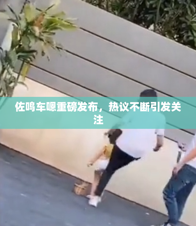 佐鸣车嗯重磅发布，热议不断引发关注