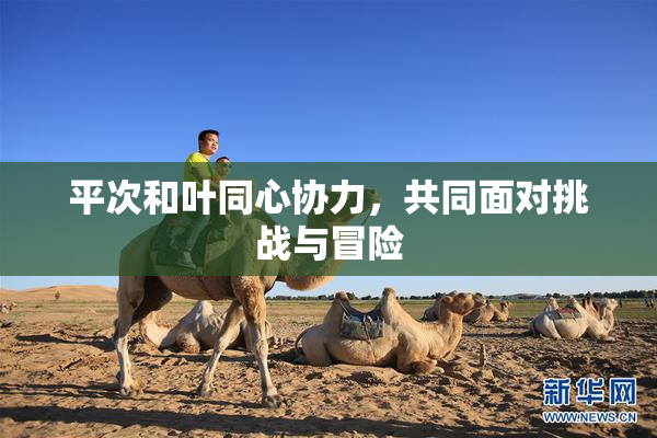 平次和叶同心协力，共同面对挑战与冒险